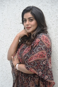 Akhanda Movie Actress Shamna Kasim Interview Stills