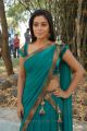 Poorna Hot Saree Photos at Telugulo Naaku Nachani Padam Prema Launch