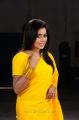 Telugu Actress Poorna Hot in Yellow Saree Photos