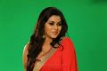 Actress Poorna Photoshoot Stills for Rakshasi Movie