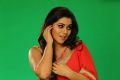 Rakshasi Movie Actress Poorna Photo Shoot Stills