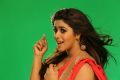 Poorna Saree Photoshoot Stills for Rakshasi Movie