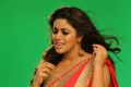 Telugu Actress Poorna Photoshoot Stills for Rakshasi Movie