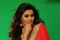 Poorna Saree Photoshoot Stills for Rakshasi Movie