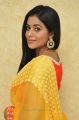 Actress Poorna in Yellow Saree Photos