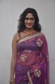 Lavanya Hot in Saree @ Poovampatti Audio Launch Stills
