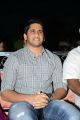 Naga Chaitanya @ Potugadu Audio Launch Photos