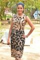 Actress Chaya Singh @ Power Pandi Movie Press Meet Stills