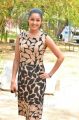 Actress Chaya Singh @ Power Paandi Movie Press Meet Stills