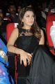 Actress Hansika Motwani @ Power Telugu Movie Audio Release Stills