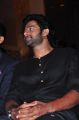 Prabhas launches Well Care Health Card Photos