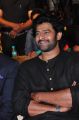 Actor Prabhas launches Well Care Health Card Photos