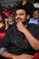 Prabhas New Photos @ Mahanubhavudu Pre Release Function