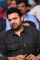 Hero Prabhas New Photos @ Mahanubhavudu Pre Release Function