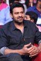 Hero Prabhas New Photos @ Mahanubhavudu Pre Release Function