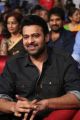 Prabhas New Photos @ Mahanubhavudu Pre Release Function