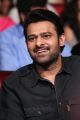 Prabhas New Photos @ Mahanubhavudu Pre Release Function