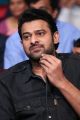 Prabhas New Photos @ Mahanubhavudu Pre Release Function