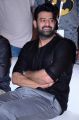 Actor Prabhas @ Saaho Movie Pre Release Event  Photos