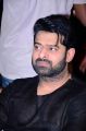 Actor Prabhas Photos @ Saaho Movie Pre Release Event