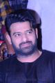 Hero Prabhas Photos @ Saaho Movie Pre Release