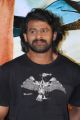 Actor Prabhas launches Basanthi Tirugubatu Song Photos