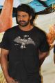 Actor Prabhas launches Basanthi Tirugubatu Song Photos