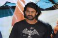 Prabhas & SS Rajamouli launches Basanthi Tirugubatu Song Photos