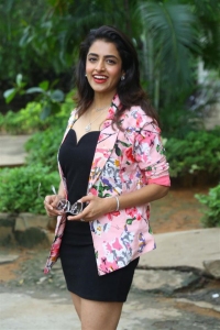 Actress Prachi Thaker Pictures @ Raju Gari Kodi Pulao Press Meet