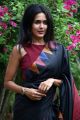 Actress Pradhayini Sarvothaman Saree Photos HD