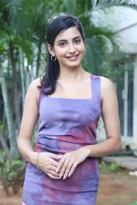 Actress Pragati Srivastava Pictures @ Pedda Kapu 1 Movie Success Meet