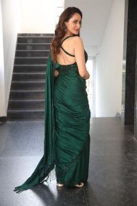 Actress Pragya Jaiswal Saree Pics @ Daaku Maharaj Interview