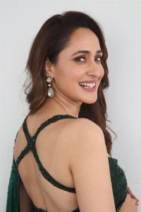 Actress Pragya Jaiswal Saree Pics @ Daaku Maharaj Interview