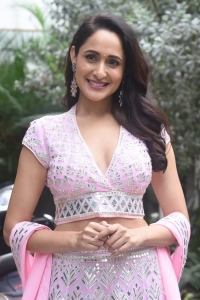 Akhanda Movie Actress Pragya Jaiswal Interview Pictures