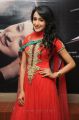 Telugu Actress Pragya Stills at Dega Audio Launch