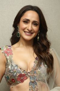 Actress Pragya Jaiswal Stills @ Daaku Maharaaj Pre Release