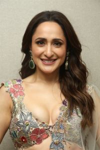 Actress Pragya Jaiswal Stills @ Daaku Maharaaj Pre Release