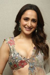 Actress Pragya Jaiswal Stills @ Daaku Maharaaj Pre Release