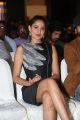 Actress Pragya Jaiswal Pictures @ IIFA Utsavam 2017 Press Meet