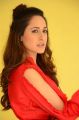 Actress Pragya Photoshoot Stills in Red Dress
