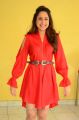Actress Pragya Jaiswal Photoshoot Stills in Red Dress
