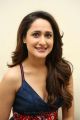 Achari America Yatra Heroine Pragya Jaiswal Interview Pictures