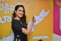 Pragya Jaiswal launches B New mobile store at Chilakaluripet, Guntur