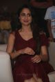 Actress Pragya Jaiswal New Pics @ Nakshatram Audio Release