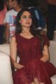 Actress Pragya Jaiswal New Pics @ Nakshatram Audio Launch