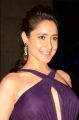 Pragya Jaiswal New Images @ Chiranjeevi 61st Birthday Party