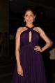 Pragya Jaiswal New Images @ Chiranjeevi 61st Birthday Party