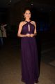 Pragya Jaiswal New Images @ Chiranjeevi 61st Birthday Party