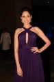 Pragya Jaiswal New Images @ Chiranjeevi 61st Birthday Party