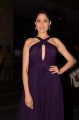 Pragya Jaiswal New Images @ Chiranjeevi 61st Birthday Party